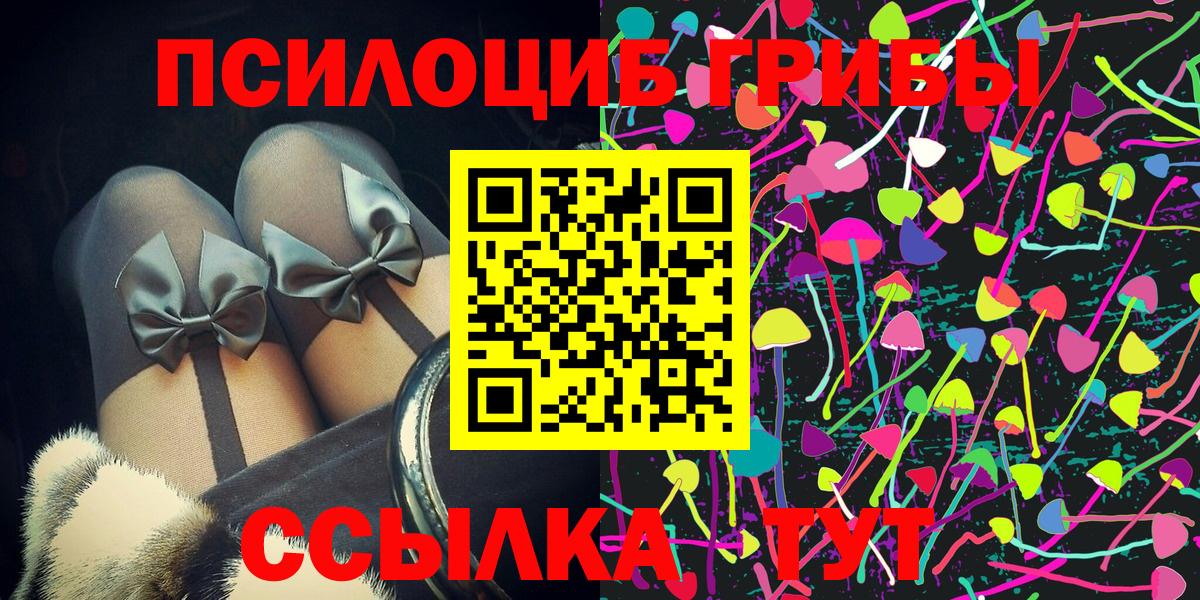 магазин продажи   Вход с VPN  Новороссийск  Псилоцибиновые грибы мицелий 